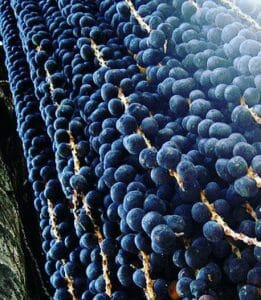 Açaí Berry