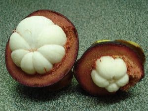 Mangostim