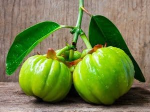 Mangostim